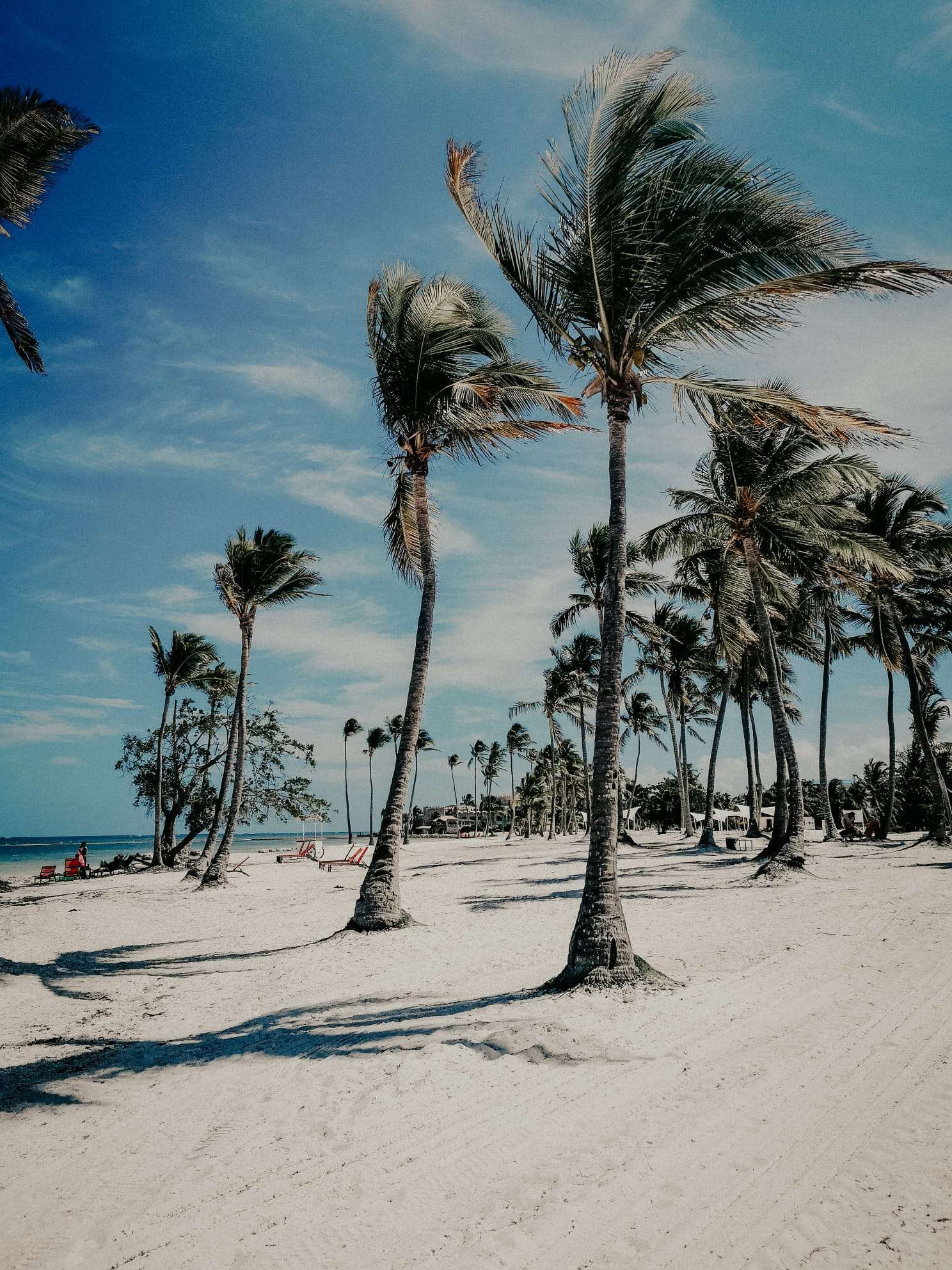 Cap Cana, Dominican Republic, Paradise
