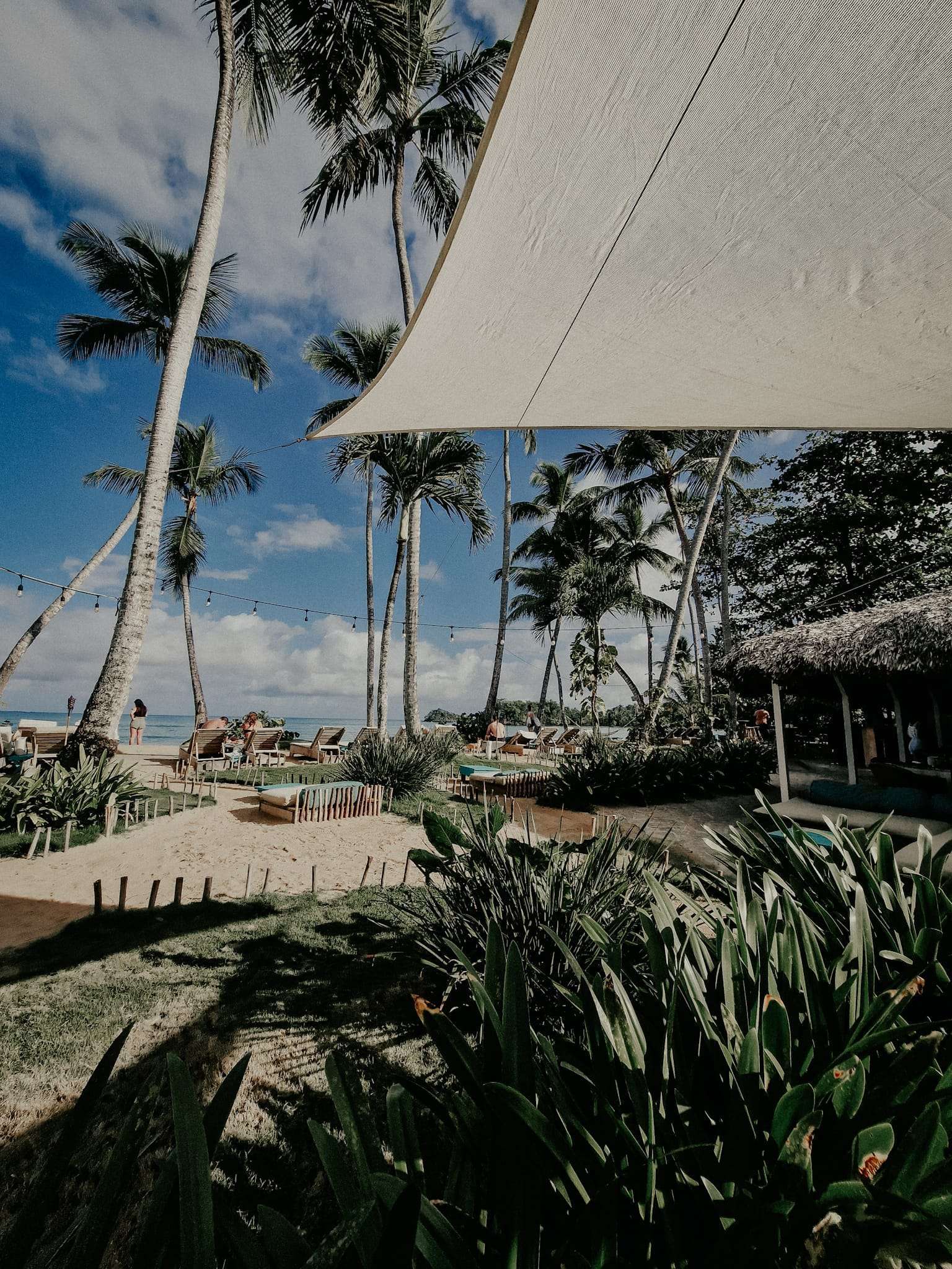 Samana, Playa Bonita, Las Terran's, Dominican Republic